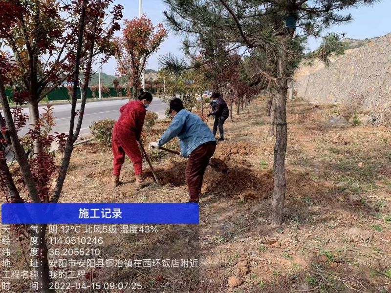 綠化工程